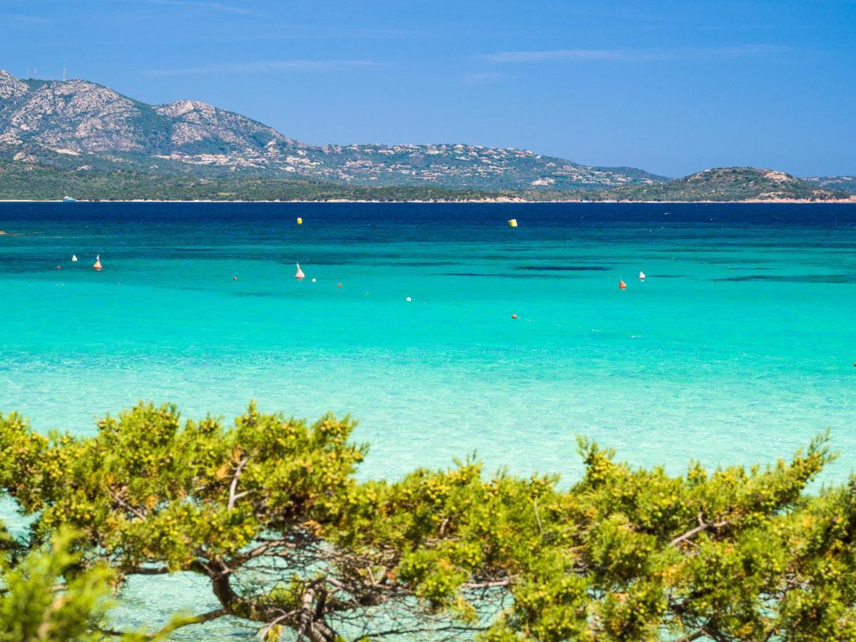 Country - Klodge * Olbia